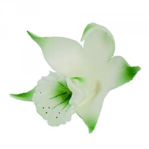 Cukrowa KATLEJA malowana kwiatek z masy cukrowej - 1szt  PISTACJOWA