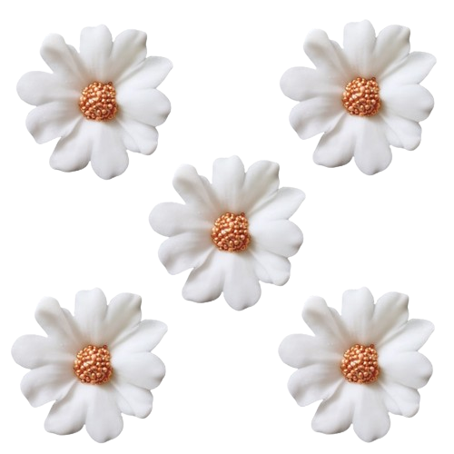 Duże kwiaty cukrowe na tort STOKROTKA 5szt białe