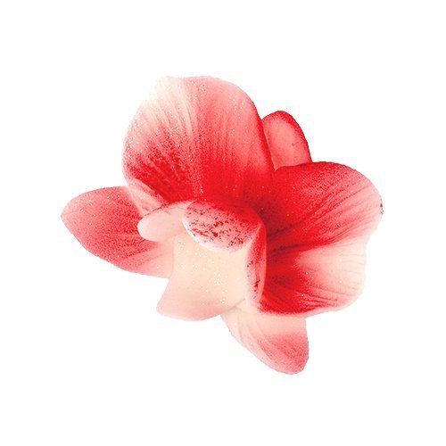 Cukrowy CYMBIDIUM kwiat z masy cukrowej - CZERWONY 1szt