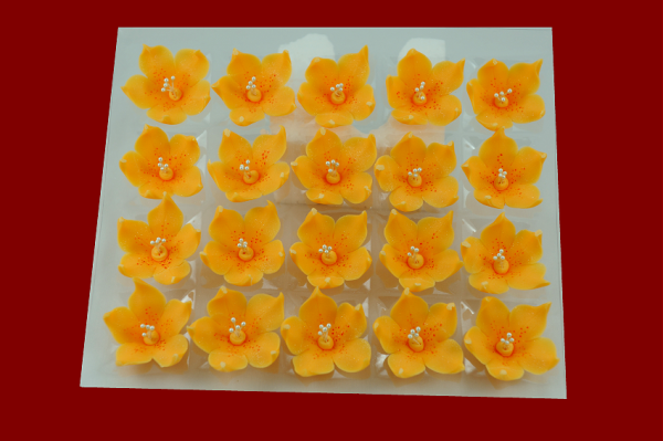 Lilijka herbaciana - kwiaty cukrowe - 20 szt.