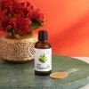 Гинкго билоба, экстракт японского гинкго 50:1, 45 мг, Aura Herbals, 50 мл