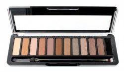 Delia Cosmetics Color Master Paleta cieni do powiek Ideal Nude 02