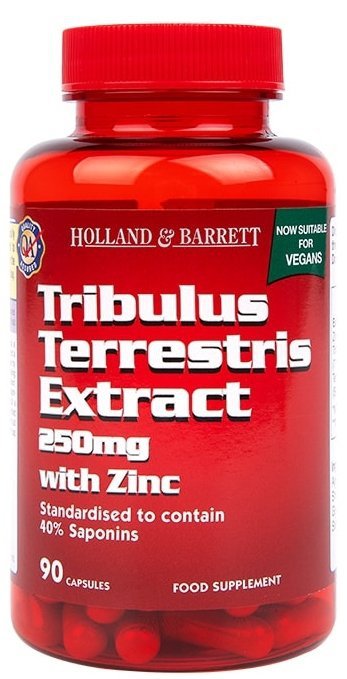 Tribulus Terrestris 250 mg z Cynkiem, Holland &amp; Barrett, 90 kapsułek