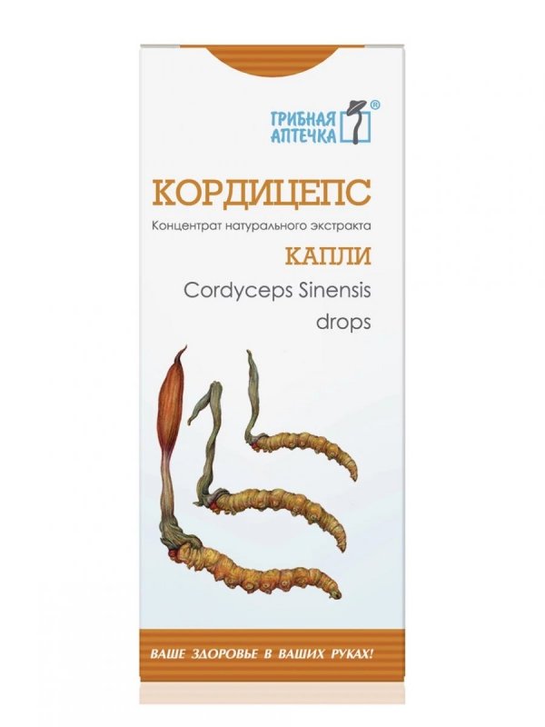 Kordyceps Krople, Cordyceps Sinensis 