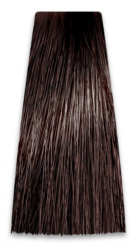 PROSALON PROFESSIONAL Intensis Color Art Profesjonalna Farba do włosów nr 4.0 brąz 100g