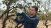 Akumulatorowy sekator ogrodniczy Bosch Professional Pro Pruner 12V