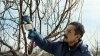 Akumulatorowy sekator ogrodniczy Bosch Professional Pro Pruner 2x3.0Ah 12V