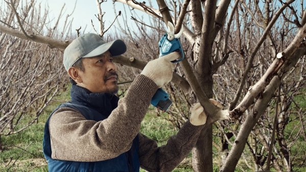 Akumulatorowy sekator ogrodniczy Bosch Professional Pro Pruner 12V