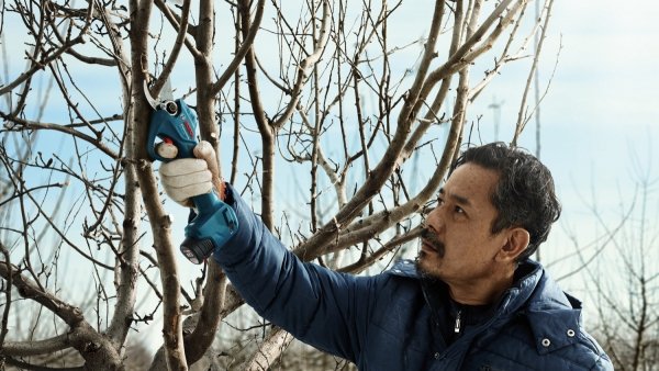 Akumulatorowy sekator ogrodniczy Bosch Professional Pro Pruner 2x3.0Ah 12V