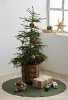 Sodahl CHRISTMAS STAR Świąteczna Podkładka - Mata pod Choinkę 120 cm Zielona