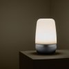 Blomus SPIRIT Lampion LED - S - Moonbeam