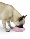 United Pets Milano BOSS NANO Miska dla Psa lub Kota 160 ml / Różowa