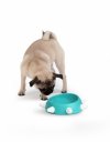 United Pets Milano BOSS Miska dla Psa 500 ml / Morska