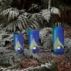 Stelton KEEP COOL Stalowa Butelka do Wody 750 ml MUMINKI Niebieska / Camping