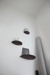 Audo GRIDY FUNGI Półka Ścienna 30 cm / Czarna