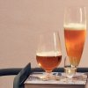 Eva Solo TRIO Szklanki do Piwa 350 ml 2 Szt.