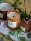 Bloomingville NO.6 Dyfuzor Zapachowy z Patyczkami 100 ml / Sekwoja