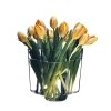 Iittala AALVAR AALTO Wazon do Kwiatów 10 cm i 16 cm 2 Szt. Przezroczysty