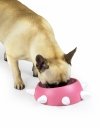 United Pets Milano BOSS Miska dla Psa 500 ml / Różowa