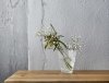Iittala KASTEHELMI Wazon do Kwiatów / Zielony