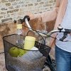 RIG-TIG by Stelton DRINK-IT Butelka do Wody 750 ml Różowa