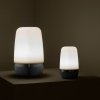 Blomus SPIRIT Lampion LED - S - Warm Gray