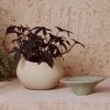 Audo PLANTS Doniczka do Kwiatów 32 cm / Ivory