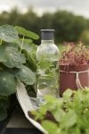 RIG-TIG by Stelton DRINK-IT Butelka do Wody 750 ml Różowa