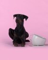 United Pets Milano CUP Duża Miska dla Psa 2500 ml / Taupe