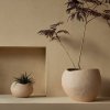 Audo PLANTS Doniczka do Kwiatów 26 cm / Ivory