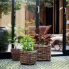 Villa Collection SCANDI Donica do Kwiatów - Zestaw 2 Kwadratowych Donic Rattanowych - Naturalny