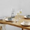 Iittala ESSENCE Kieliszki do Białego Wina 330 ml 2 Szt.