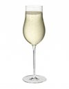 Georg Jensen SKY Kieliszki do Szampana 250 ml 6 Szt.