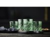 Lyngby Glass SORRENTO Kolorowe Szklanki do Drinków, Whisky 320 ml 4 Szt. / Zielone