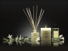 Cereria Molla BOUTIQUE Dyfuzor Zapachowy z Patyczkami 100 ml Tuberose and Jasmine