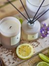 Bloomingville NO.4 Dyfuzor Zapachowy z Patyczkami 100 ml / Cytryna i Werbena