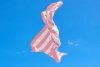 Dock & Bay CABANA Szybkoschnący Ręcznik Plażowy 160x90 cm / Malibu Pink