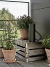 Stelton BLOOM Konewka do Kwiatów 2 l / Zielona