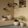 Audo PLANTS Doniczka do Kwiatów 24 cm / Ivory