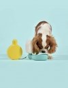 United Pets Milano PINGUI Poidło - Butelka na Wodę dla Psa / Żółta