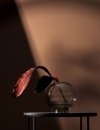Aytm GLOBE Wazon do Kwiatów Amber 21 cm Podstawa Złota