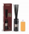 Esteban PARIS Dyfuzor Zapachowy z Patyczkami 100 ml / Zapach Teck and Tonka