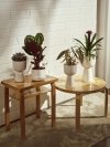 Iittala NAPPULA Doniczka z Podstawką 13 cm / Beżowa