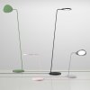 Muuto LEAF Lampa Podłogowa - Ciemnozielona