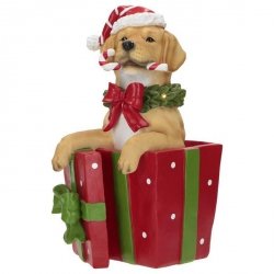 Merry Moments CHRISTMAS Pies w Świątecznym Pudełku Prezentowym LED