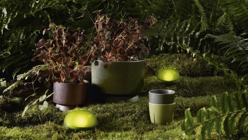 Rosendahl CACHEPOT Doniczka do Kwiatów 15 cm Ciemnoczerwona