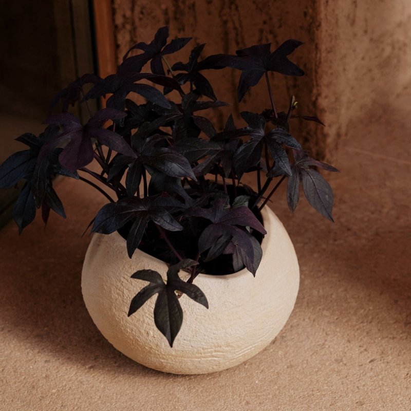 Audo PLANTS Doniczka do Kwiatów 24 cm / Ivory