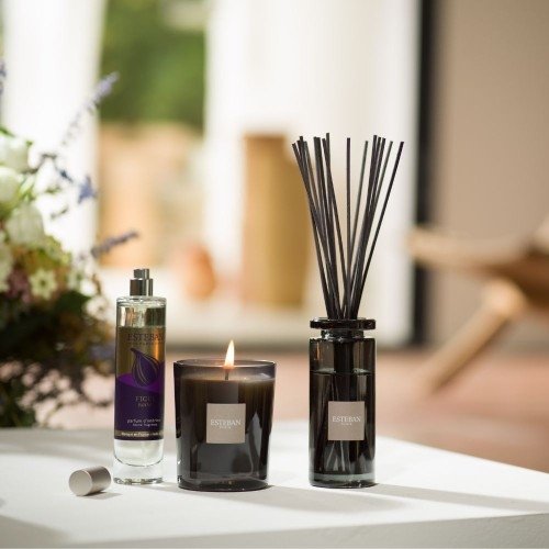 Esteban PARIS Dyfuzor Zapachowy z Patyczkami 100 ml / Zapach Figue Noire