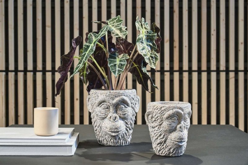 Villa Collection NATURE Doniczka do Kwiatów 19 cm Głowa z Cementu - Szara
