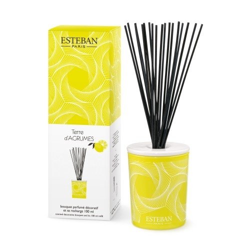Esteban PARIS Dekoracyjny Dyfuzor Zapachowy z Patyczkami 100 ml / Zapach Terre dAgrumes
